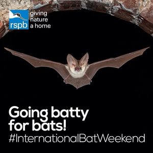 Image post by @rspb on Instagram