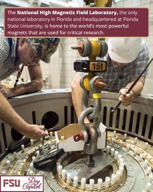 Image post by @floridastateuniversity on Instagram