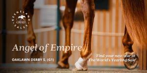 Image post by @keenelandsales on Twitter