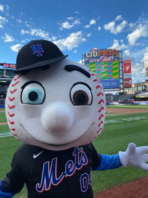 Image post by @MrMet on Twitter