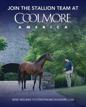 Image post by @coolmoreamerica on Instagram