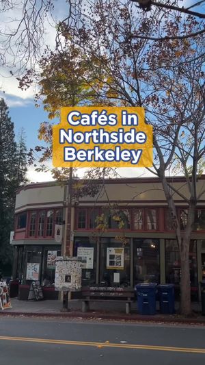 Video post by @ucberkeley on TikTok