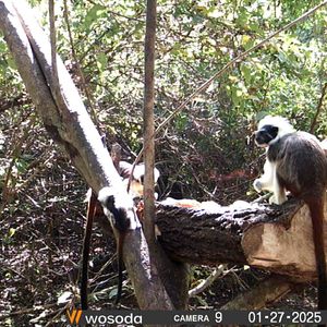 Image post by @fundacionloros on Instagram
