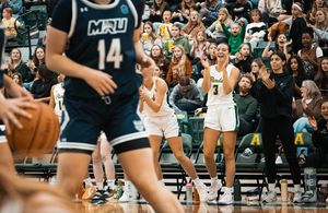 Image post by @bearsandpandas on Instagram