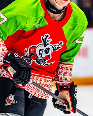 Image post by @ohlicedogs on Instagram