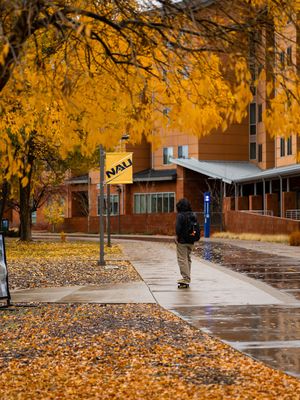 Image post by @nauflagstaff on Instagram