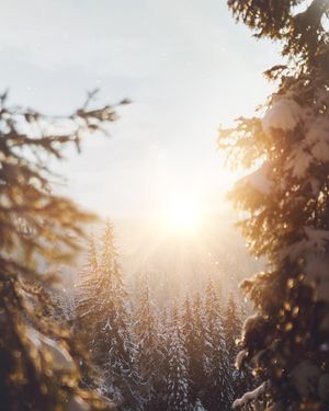 Image post by @kszczuka on Instagram