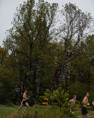 Image post by @flotrack on Instagram