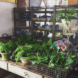 Image post by @themainemag on Instagram