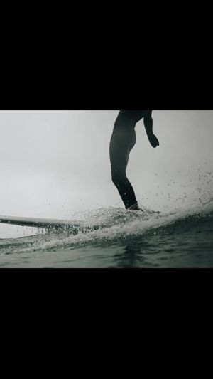 Video post by @frothyblonde on TikTok