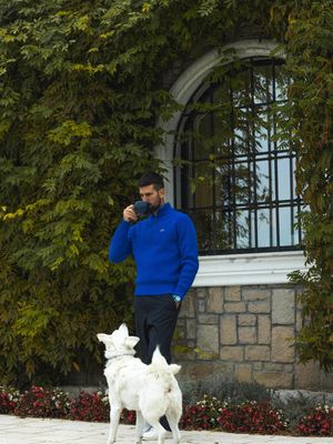 Image post by @djokernole on Instagram