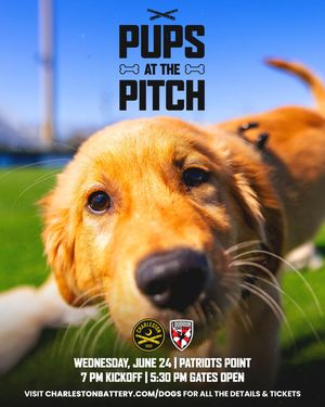 Image post by @charlestonbattery on Instagram