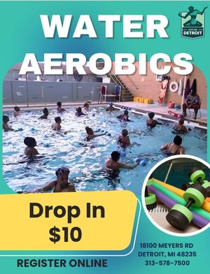 Image post by @DetroitParksRec on Facebook