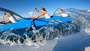 Image post by @UNCWAlumni on Twitter