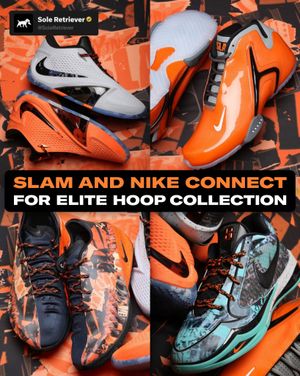 Image post by @soleretriever on Instagram