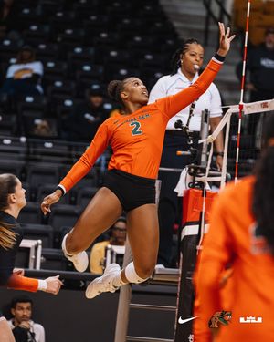 Image post by @famuvb on Instagram