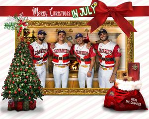 Image post by @canaries_baseball on Instagram