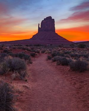 Image post by @roy.coffee.photography on Instagram