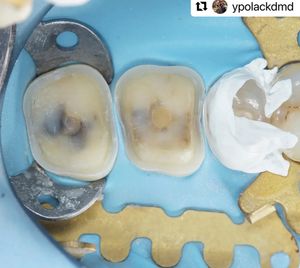 Image post by @ripeglobal on Instagram