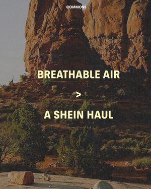 Image post by @commonsearth on Instagram