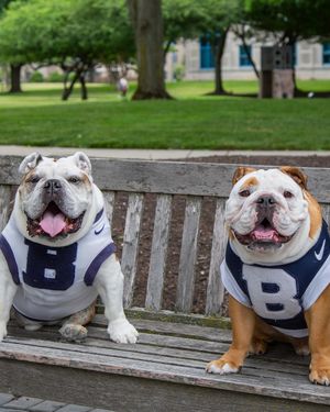 Image post by @thebutlerblue on Instagram