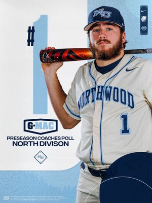 Image post by @nutimberwolves on Instagram