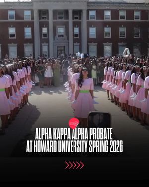 Image post by @hbcubuzz on Instagram