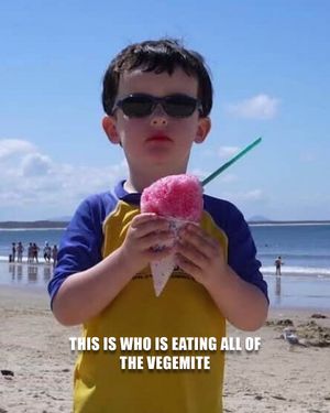 Image post by @weberstatefb on Instagram