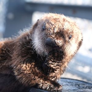Image post by @vanaqua on Instagram