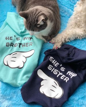 Image post by @babaamstore on Instagram
