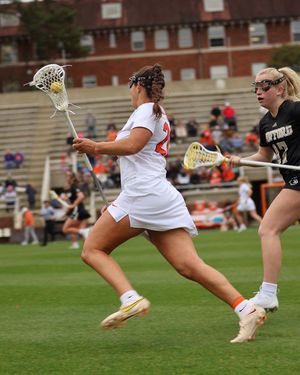 Image post by @cutigervision on Instagram