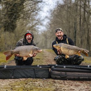 Image post by @brothercarp on Instagram