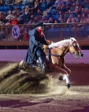 Image post by @nationalwestern on Instagram