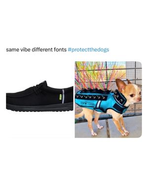 Image post by @heydude on Instagram