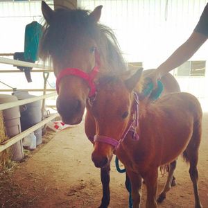Image post by @nationalwestern on Instagram