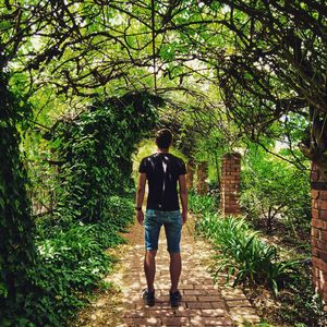 Image post by @mirko_mac on Instagram