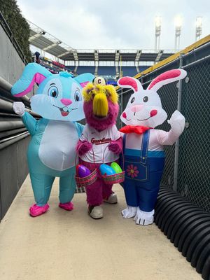 Image post by @sliderthemascot on Instagram