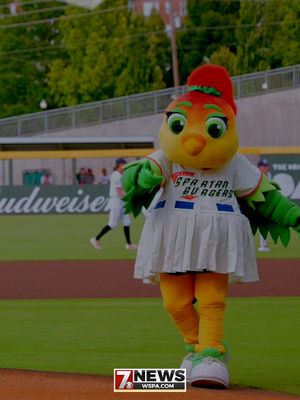 Video post by @wspatv on Facebook