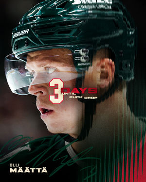 Image post by @minnesotawild on Instagram