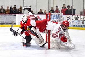 Image post by @shanna_staffordphotography on Instagram