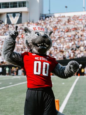 Image post by @packathletics on Instagram