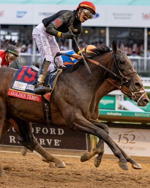 Video post by @worldhorseracing on TikTok