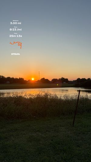 Video post by @perry._.b on TikTok