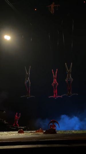 Image post by @o.cirquedusoleil on Instagram