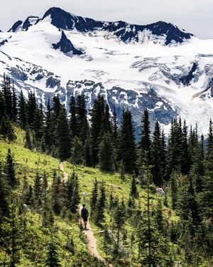 Image post by @whistlerblackcomb on Instagram