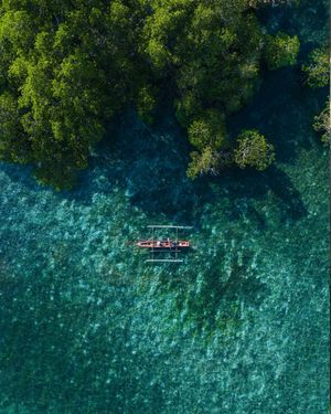 Image post by @joeadimara_ on Instagram