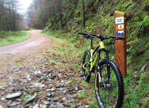 Image post by @nukeproofbikes on Instagram