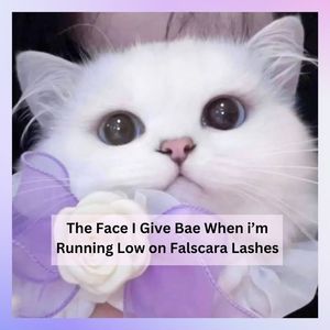 Image post by @FalscaraOfficial on Facebook