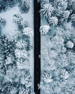 Image post by @daniel.schifferli on Instagram
