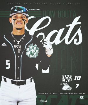 Image post by @nwbearcat_bsb on Instagram